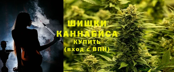 a pvp Магас