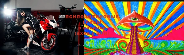 a pvp Магас