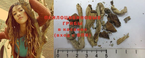2c-b Ветлуга