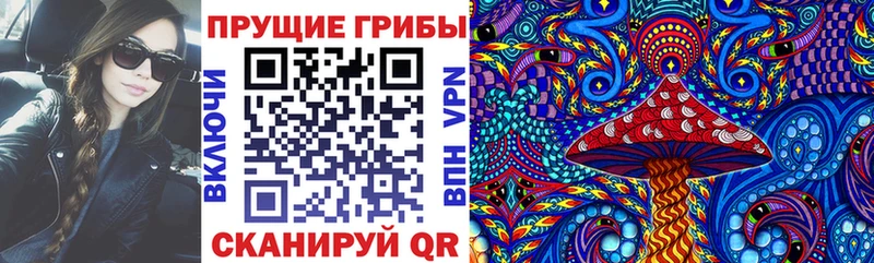 купить   Севск  Галлюциногенные грибы Psilocybine cubensis 
